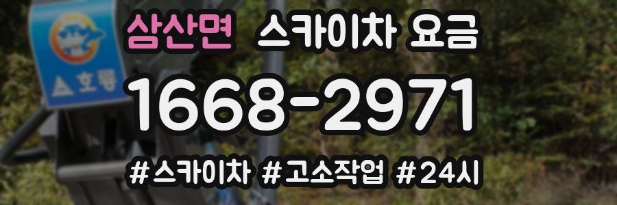 삼산면 스카이차 요금