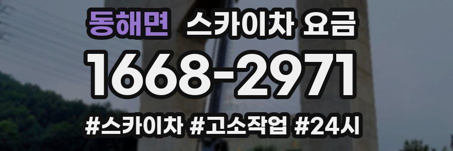 동해면 스카이차 요금
