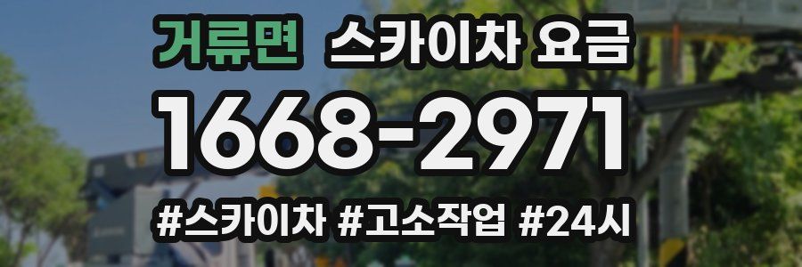 거류면 스카이차 요금