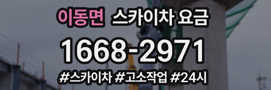 이동면 스카이차 요금