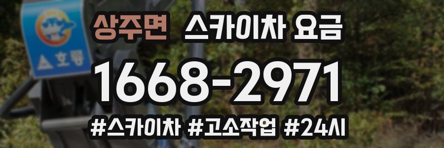 상주면 스카이차 요금