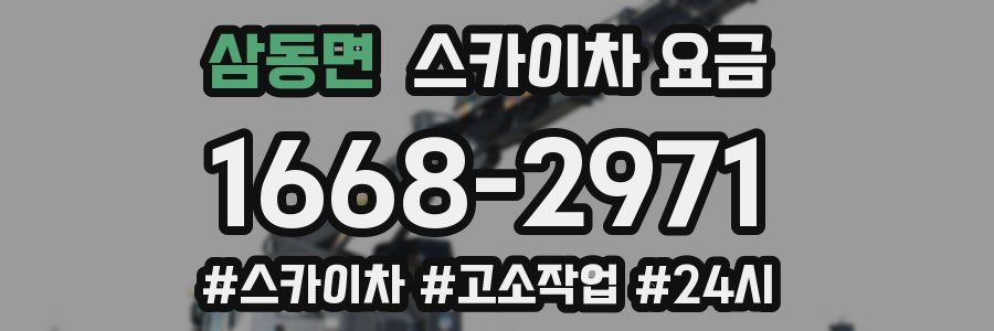 삼동면 스카이차 요금