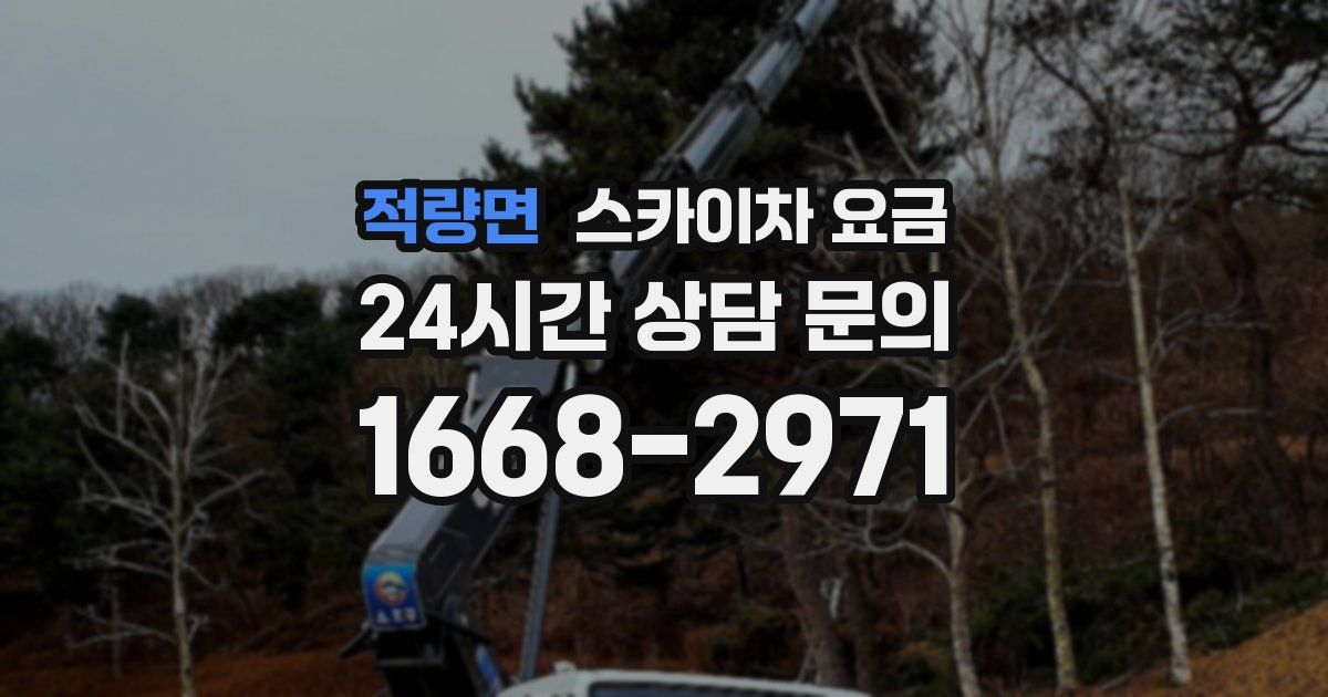 적량면 스카이차 요금