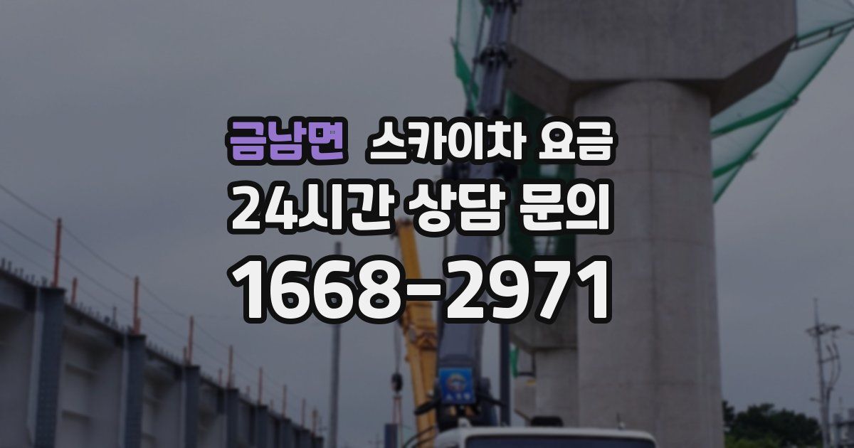금남면 스카이차 요금