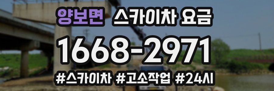 양보면 스카이차 요금