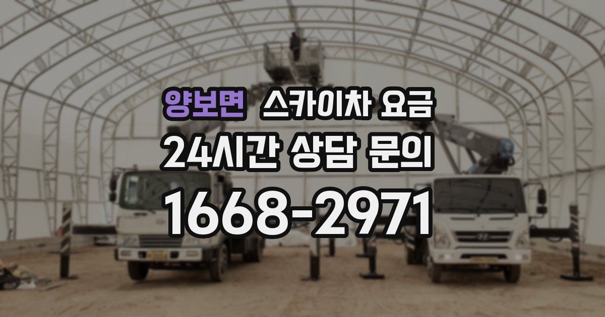 양보면 스카이차 요금