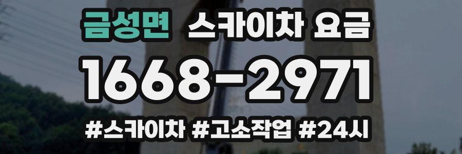 금성면 스카이차 요금