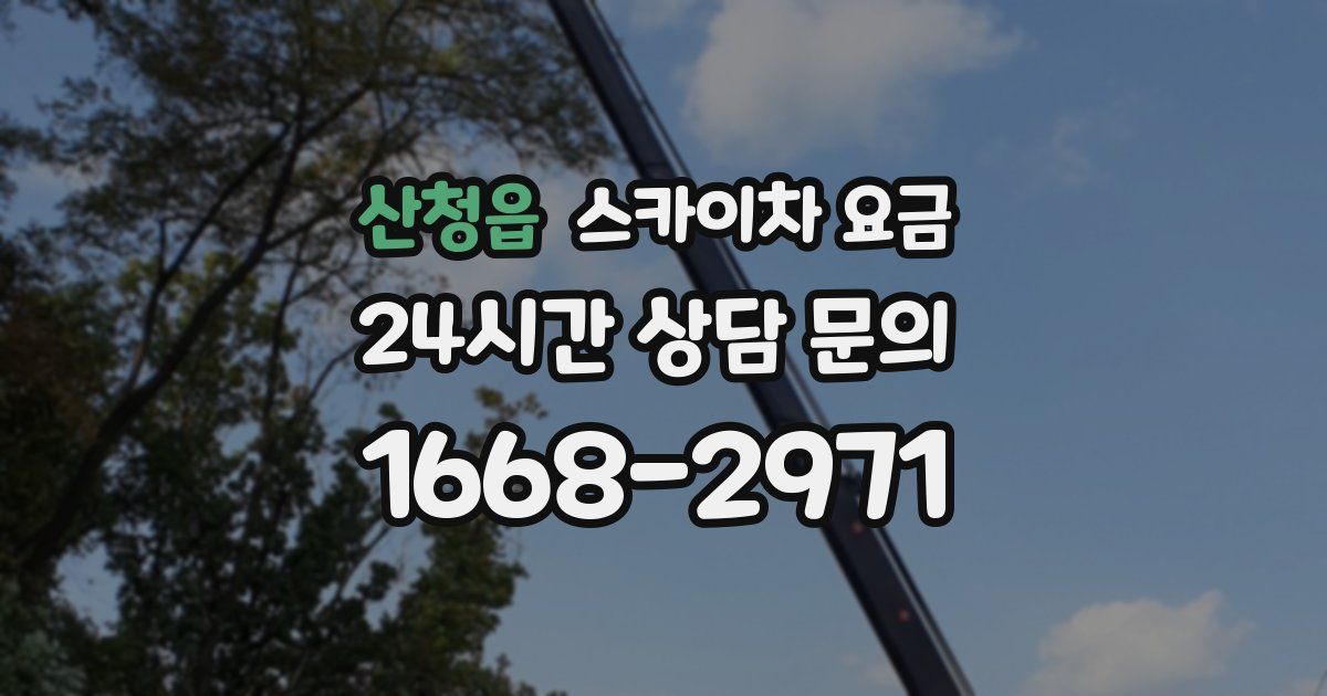 산청읍 스카이차 요금