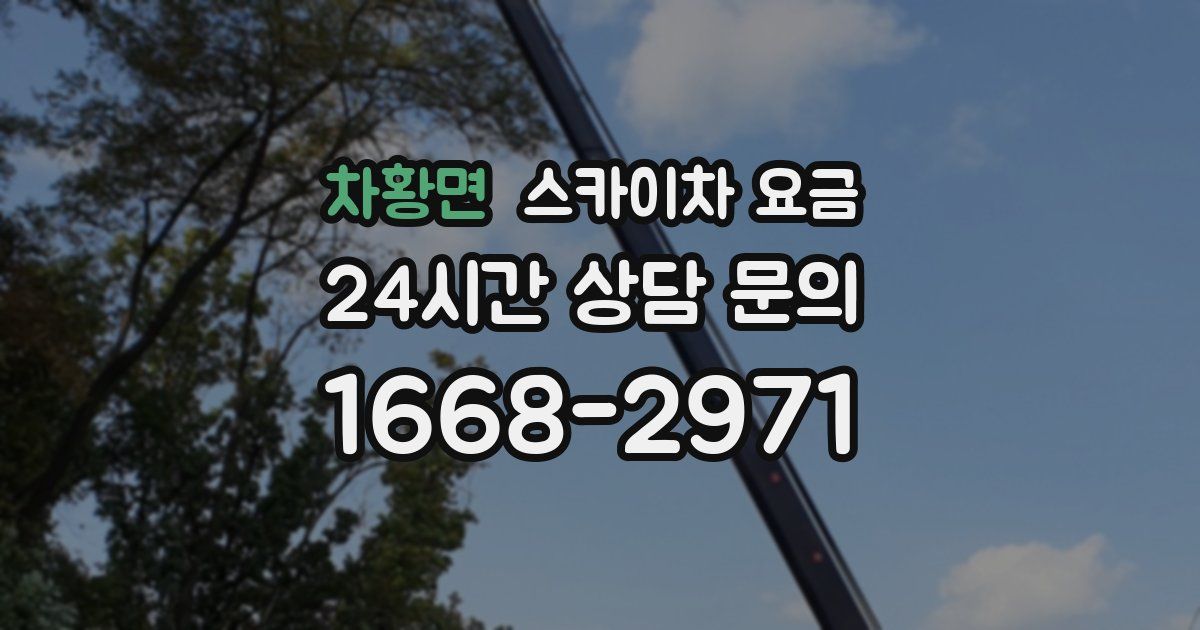 차황면 스카이차 요금