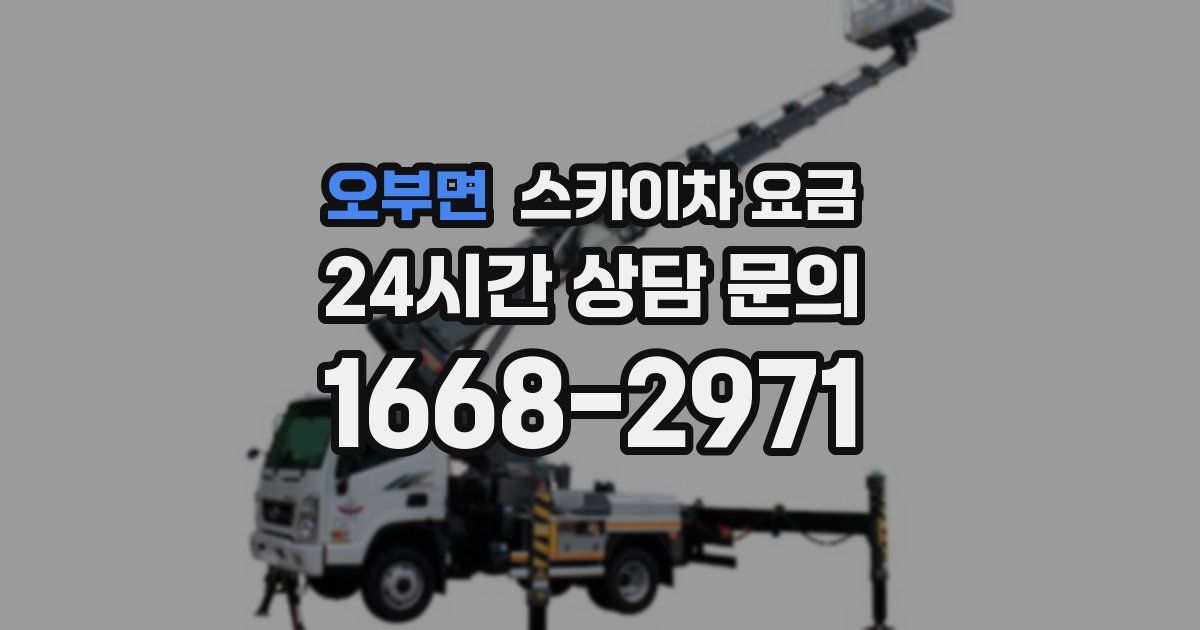 오부면 스카이차 요금