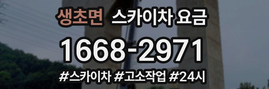 생초면 스카이차 요금