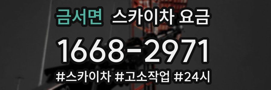 금서면 스카이차 요금