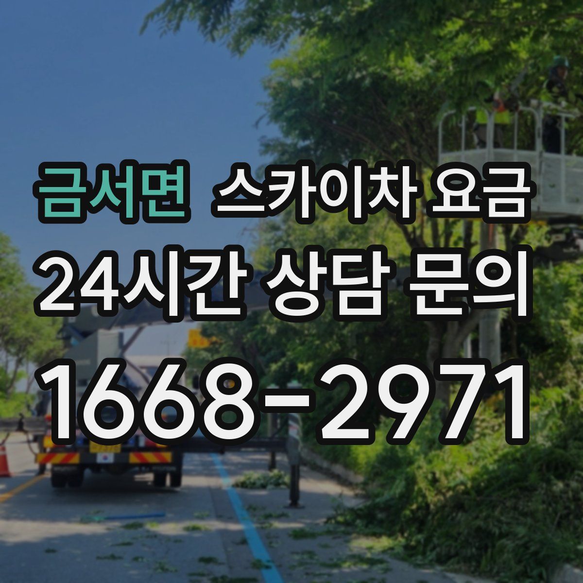 금서면 스카이차 요금