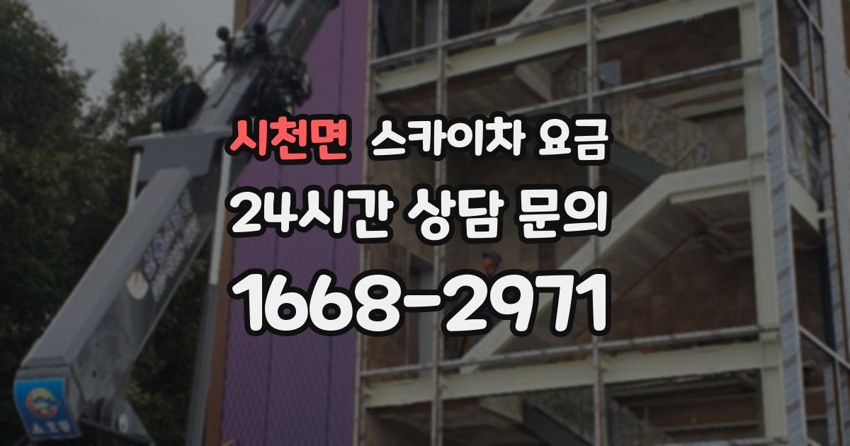 시천면 스카이차 요금