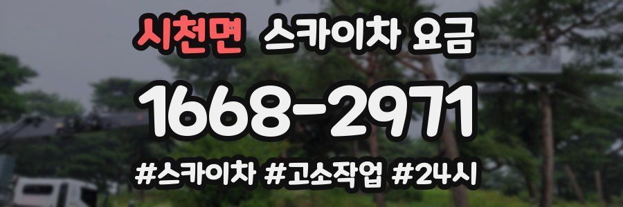 시천면 스카이차 요금