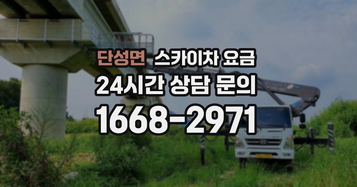 단성면 스카이차 요금