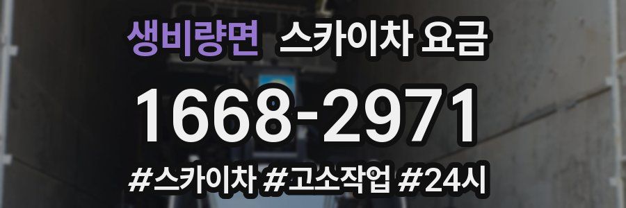 생비량면 스카이차 요금