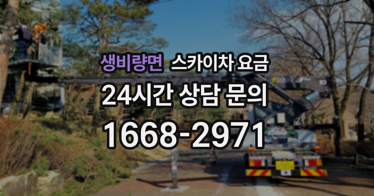 생비량면 스카이차 요금