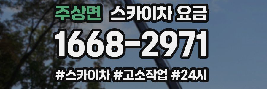주상면 스카이차 요금