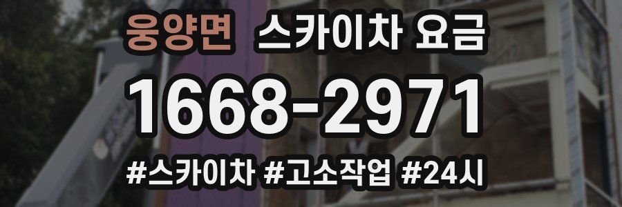 웅양면 스카이차 요금