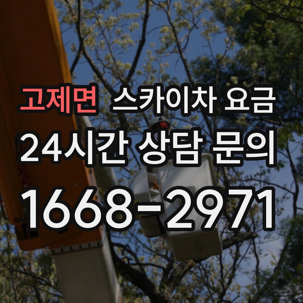 고제면 스카이차 요금