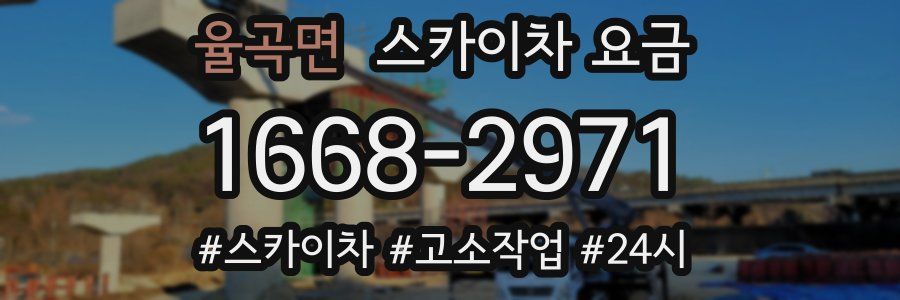 율곡면 스카이차 요금