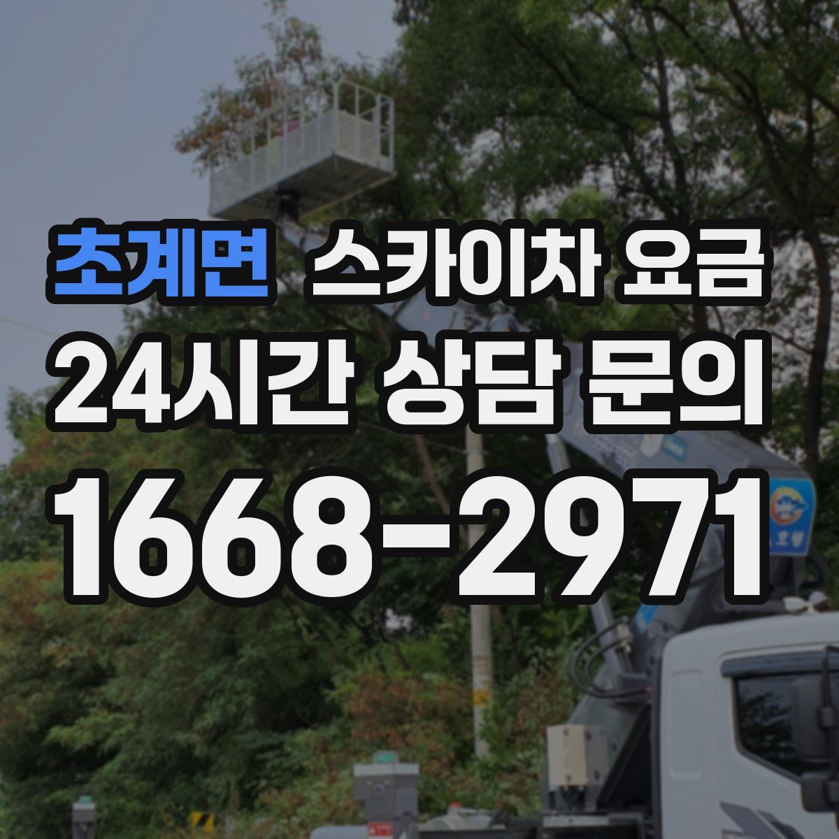 초계면 스카이차 요금
