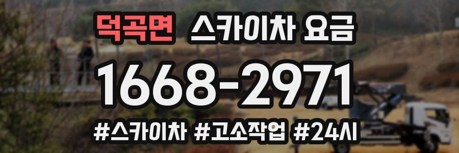 덕곡면 스카이차 요금