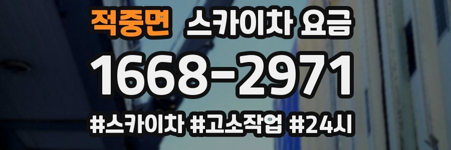 적중면 스카이차 요금