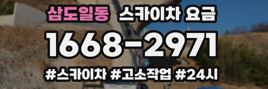 삼도일동 스카이차 요금