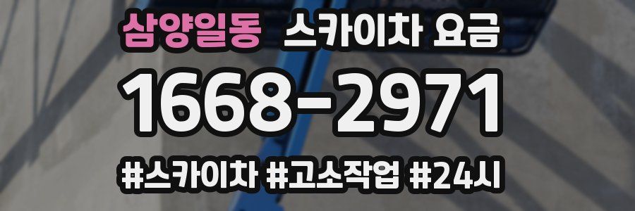삼양일동 스카이차 요금