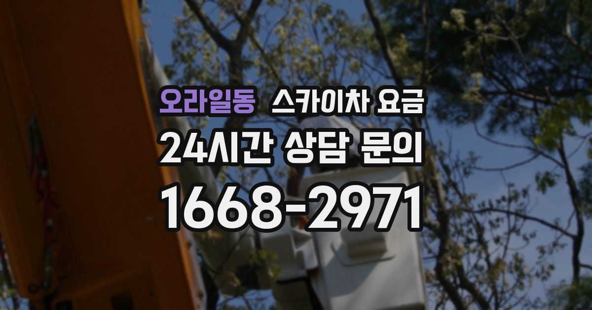 오라일동 스카이차 요금