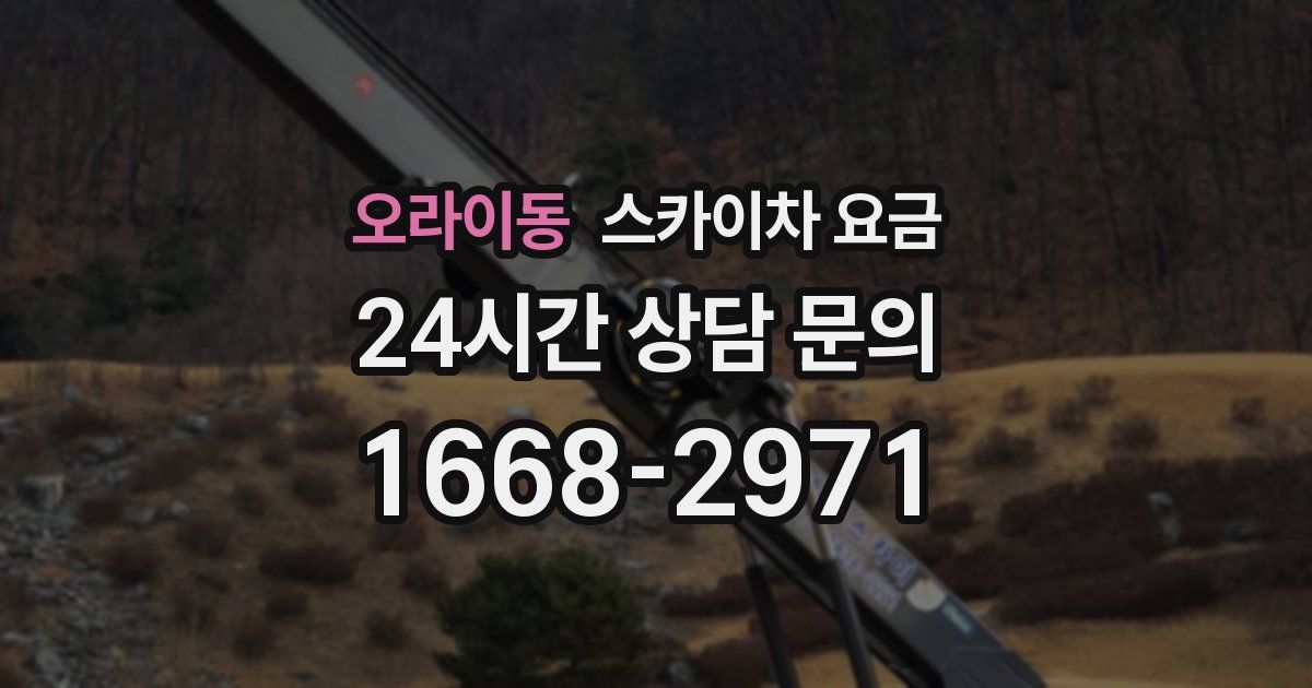 오라이동 스카이차 요금