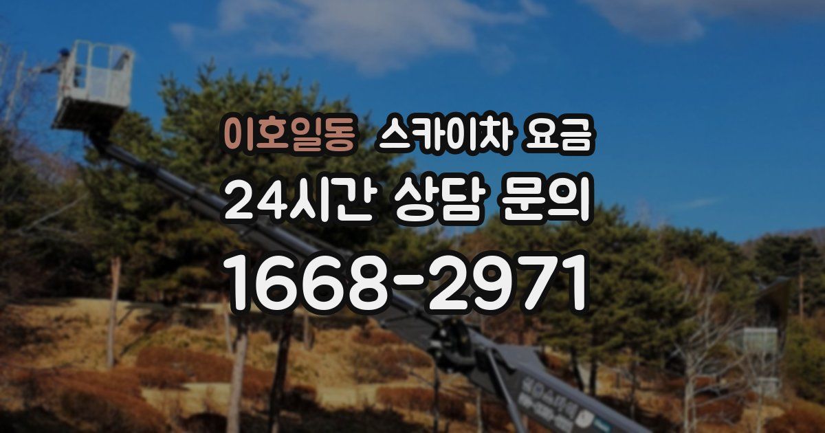 이호일동 스카이차 요금