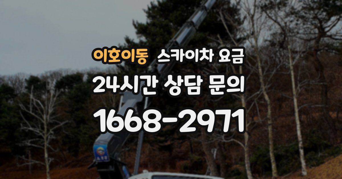 이호이동 스카이차 요금