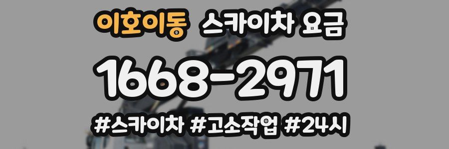 이호이동 스카이차 요금