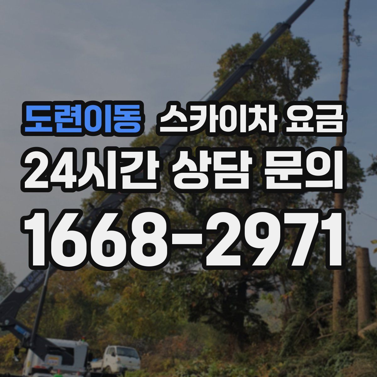 도련이동 스카이차 요금