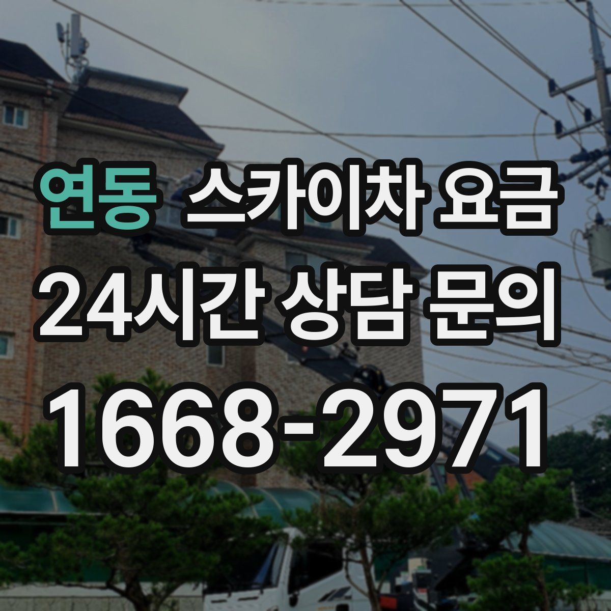 연동 스카이차 요금