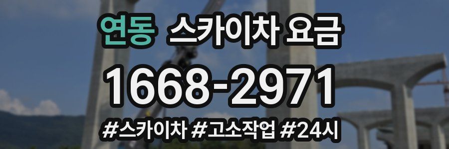 연동 스카이차 요금