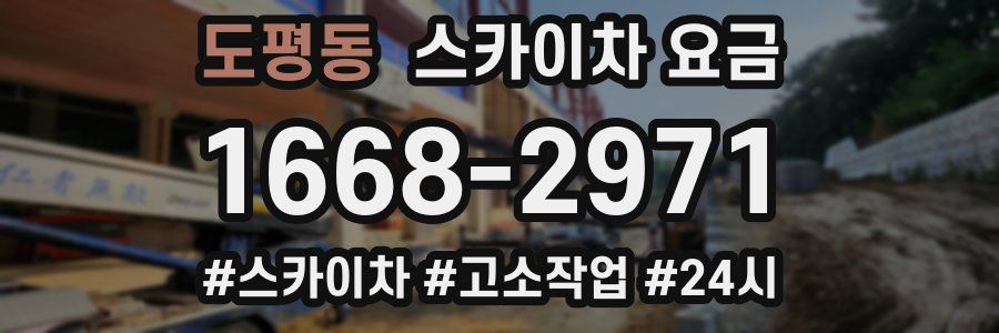 도평동 스카이차 요금