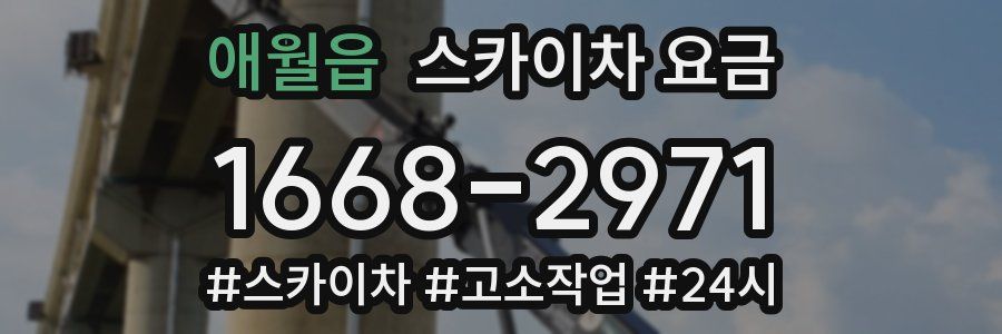 애월읍 스카이차 요금