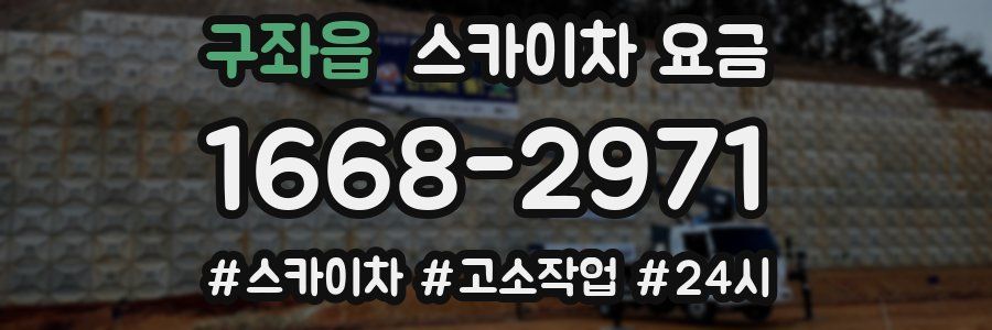 구좌읍 스카이차 요금