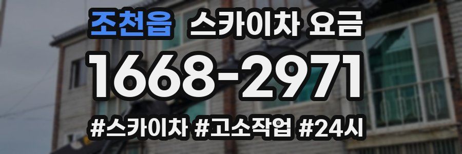 조천읍 스카이차 요금