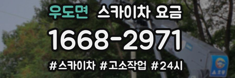 우도면 스카이차 요금