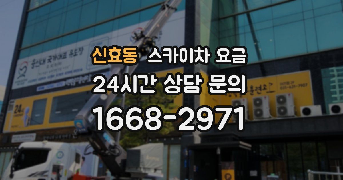 신효동 스카이차 요금
