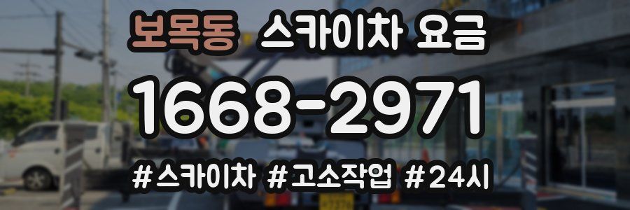 보목동 스카이차 요금
