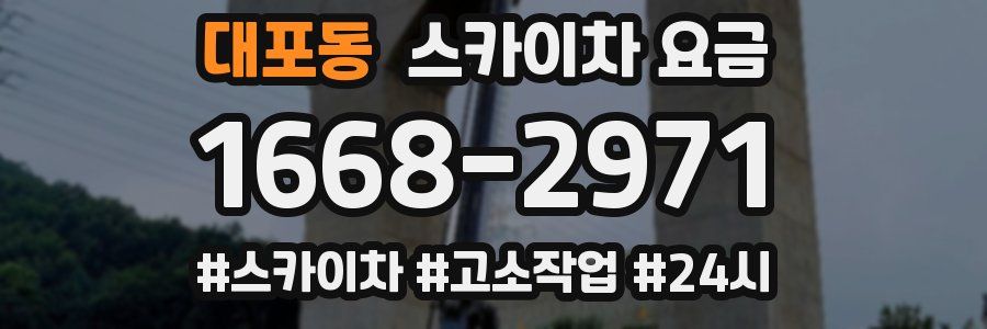 대포동 스카이차 요금