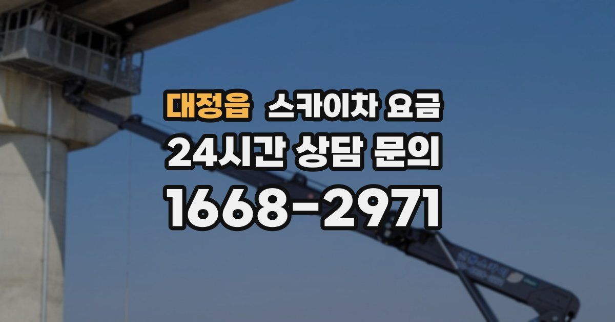 대정읍 스카이차 요금