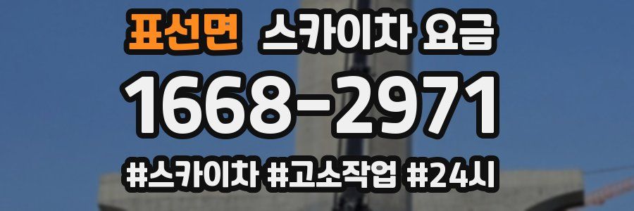 표선면 스카이차 요금