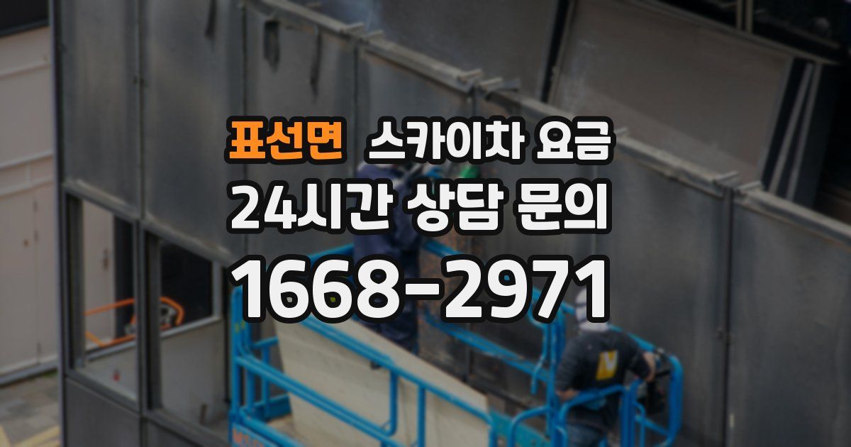 표선면 스카이차 요금